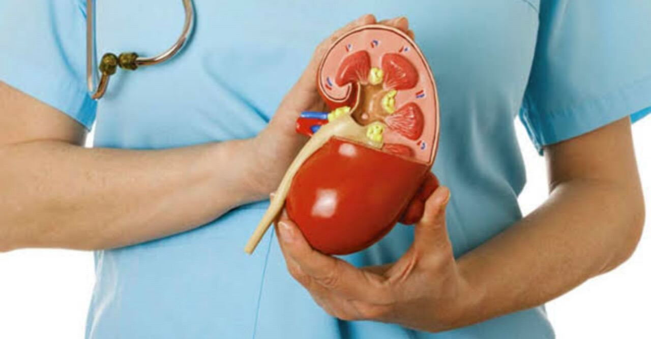 কিডনি রোগের লক্ষণ এবং প্রতিরোধ